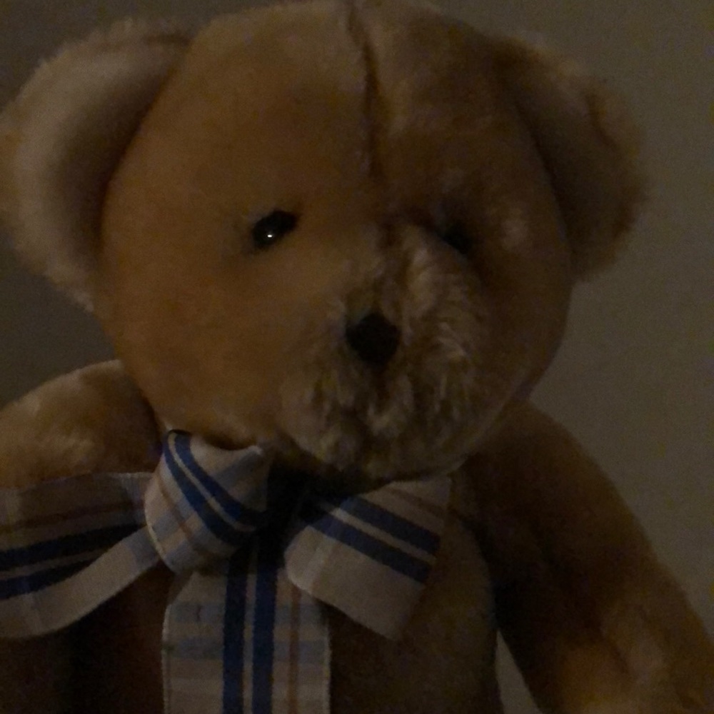 Meet your Posher, Llatina